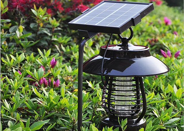 Các loại đèn trang trí năng lượng mặt trời phổ biến 1 Các loại đèn trang trí năng lượng mặt trời phổ biến