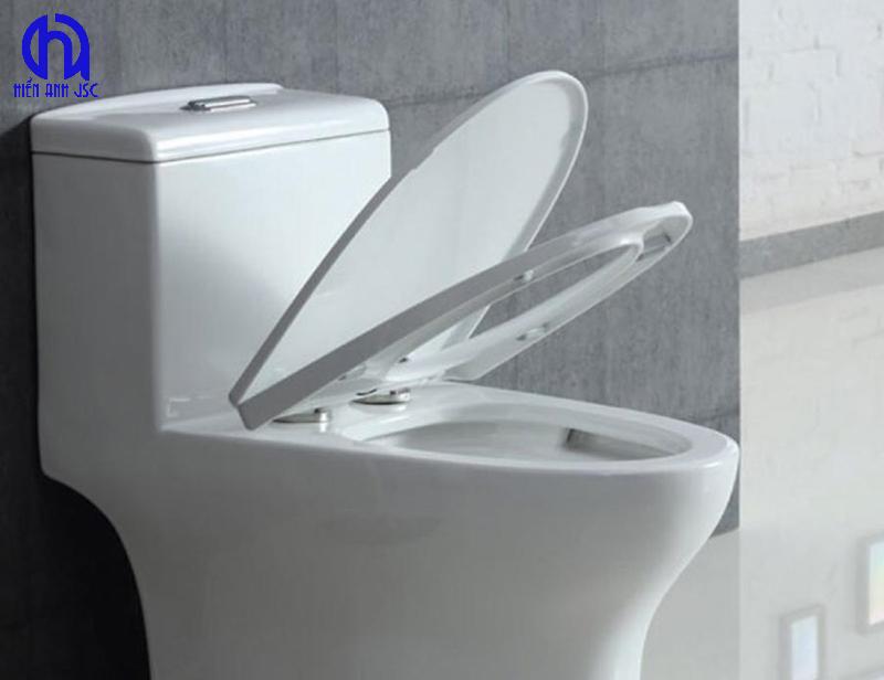 Bồn cầu xả xoáy xả thẳng xả siphon khác nhau ra sao? Loại nào phù hợp