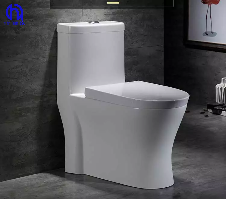 Các loại bồn cầu phổ biến hiện nay đáng cân nhắc