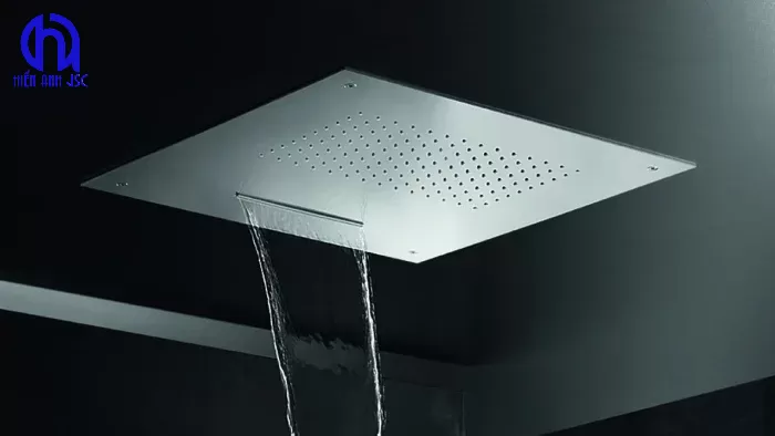 So sánh sen cây sen tắm thường sen âm tường khác gì nhau?