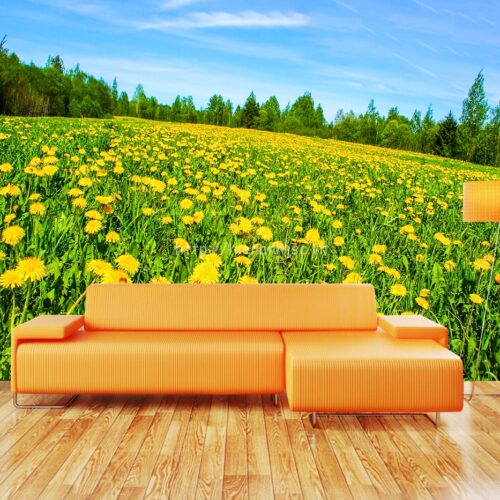 Tranh dán tường 5D - Tranh cánh đồng hoa vàng 5D030 4 5d030-6-tranh 3D canh dong hoa huong duong phong khach