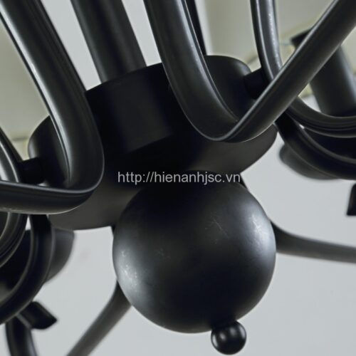 DTT04-DenTrumHinhNam-4