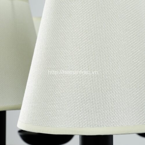 DTT04-DenTrumHinhNam-5