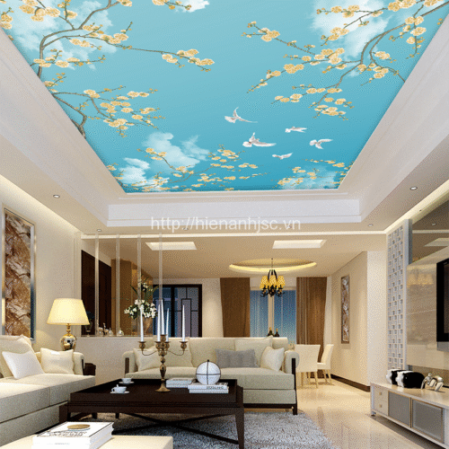 giay dan tuong 5d bau troi dan tran