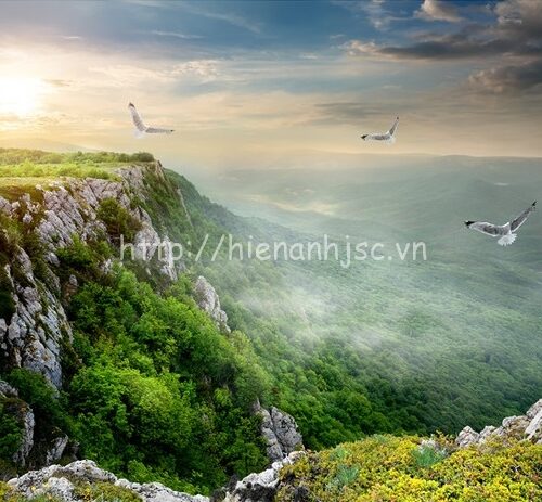 Tranh phong cảnh thiên nhiên 5D