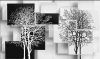 5D049-4-Tranh 5D cây đen trắng dán tường