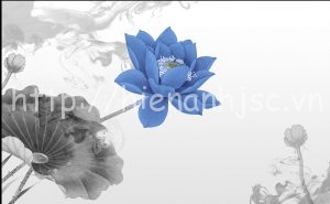 5D068 4 tranh hoa sen xanh