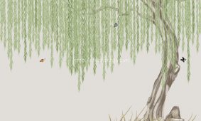 Giấy dán tường 3D 5D tại Sơn La | Các mẫu giấy dán tường rẻ đẹp