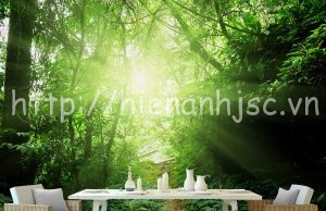 Giấy dán tường tại Tuyên Quang | Mẫu giấy dán tường 3D 5D rẻ đẹp 8 5D076-1-tranh duong mon rung xanh