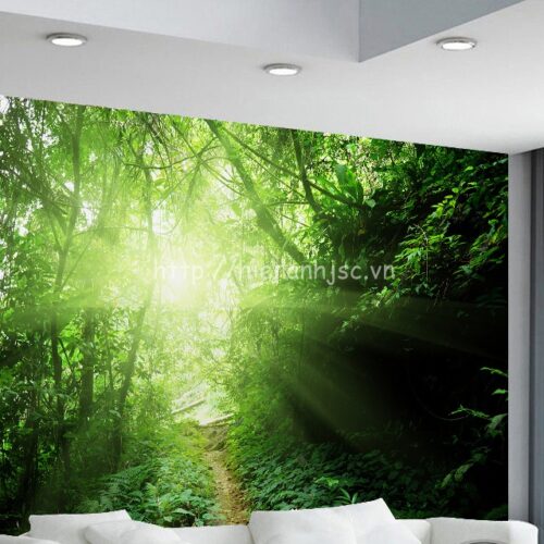 Tranh dán tường 5D - Tranh đường mòn trong rừng xanh 5D076 6 5D076-3-tranh duong mon rung xanh