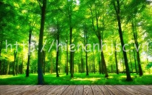 5D077-1-tranh rung xanh - Copy (3)