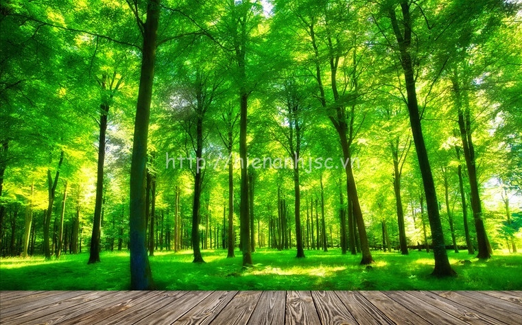 Tranh dán tường 5D - Tranh rừng xanh bên hiên nhà 5D077