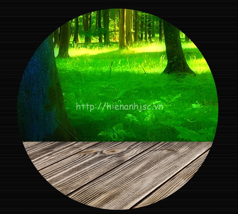 Tranh dán tường 5D - Tranh rừng xanh bên hiên nhà 5D077