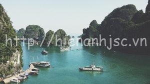 tranh dan tuong 5d vinh ha long