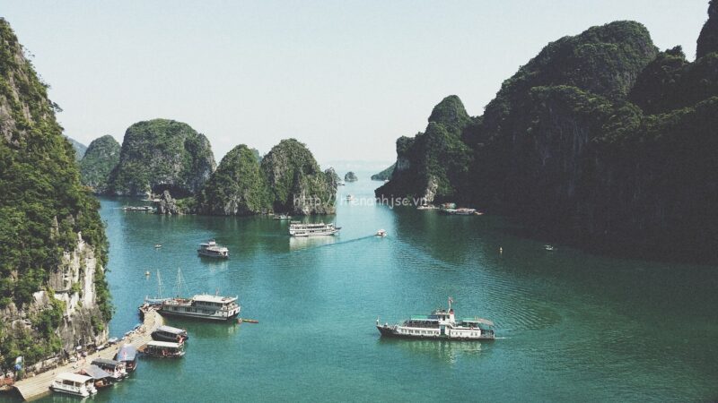 tranh dan tuong 5d vinh ha long