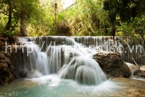 Những ưu điểm vượt trội của tranh dán tường 3D mà bạn chưa biết 5 Tranh dán tường phòng khách 3D