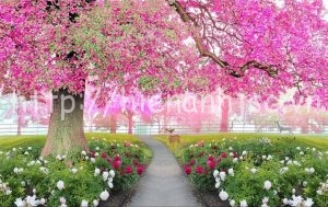 Tổng hợp mẫu tranh dán tường 3D 5D chụp ảnh nền background đẹp nhất 11 Tranh dán nền 5D background