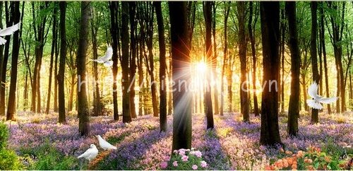 Tranh dán tường - Tranh dán tường bối cảnh rừng xanh buổi sớm mai 5D116 4 5D116-1-tranh dan tuong boi canh rung xanh buoi som mai (2)