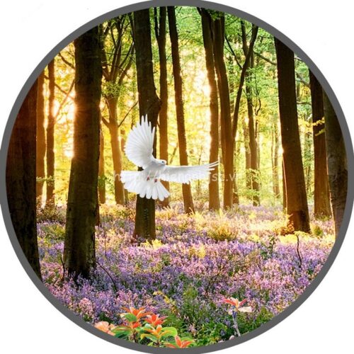 Tranh dán tường - Tranh dán tường bối cảnh rừng xanh buổi sớm mai 5D116 5 5D116-3-tranh dan tuong boi canh rung xanh buoi som mai