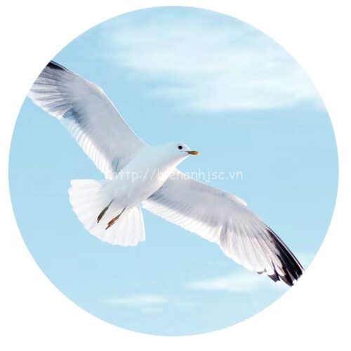 Tranh dán tường 5D đồng cỏ và trời xanh - 5D117