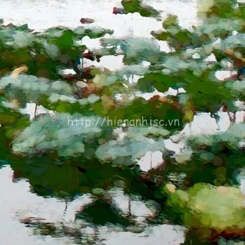 5D161-10-tranh dam sen phong cach son