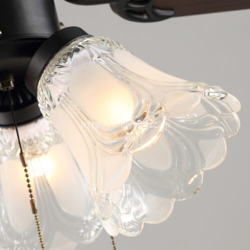 DTT050-5-den-quat-tran-chau-au-co-kinh