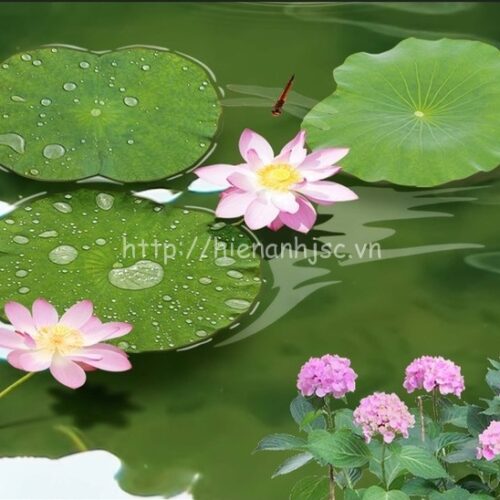 5D168-tranh-3D-dan-tuong-hoa-tiet-la-sen