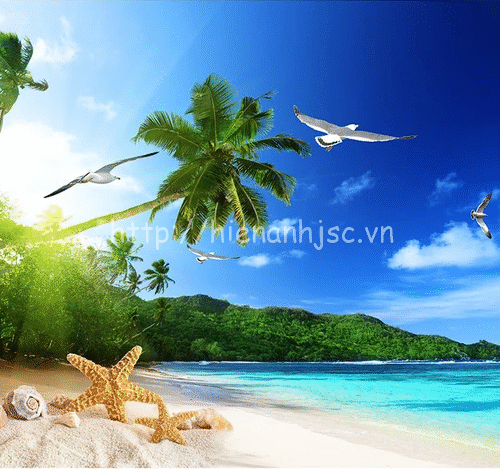 Tranh dán tường 5D - Tranh bãi biển, cây dừa & chim hải âu 5D175 7 Tranh dán tường 5D tại Hà Nội