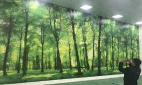 Thi công tranh dán tường 3D ở xưởng làm việc tại Long Biên Hà Nội