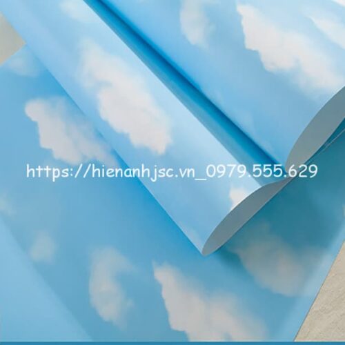 giay-dan-tuong-hoa-tiet-may-cho-be-3D221-3