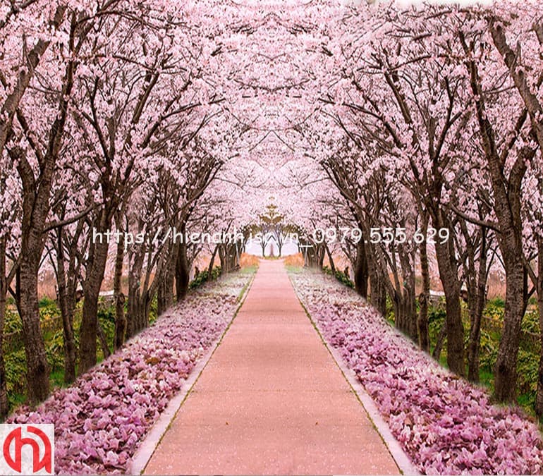 Con đường hoa Anh đào, một trong những điểm đến nổi tiếng nhất của Nhật Bản, sẽ khiến bạn say đắm vì khung cảnh đẹp tuyệt vời. Hãy cùng ngắm nhìn một lần để tận hưởng vẻ đẹp làm say đắm lòng người này!