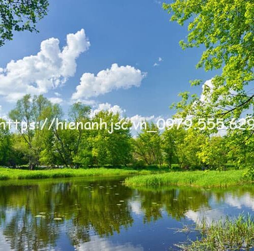 tranh-dán-tuong-boi-canh-ho-nuoc-5D217-5
