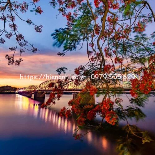 trang-tien-bridge-huong-river-5D232-1