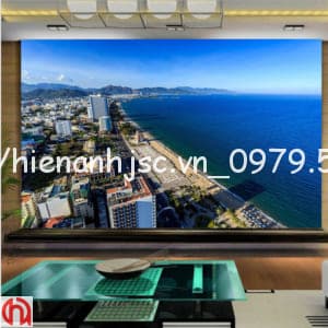 tranh-dan-tuong-nha-trang-5D237-5