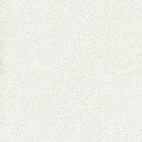Giấy dán tường Hàn Quốc IKON họa tiết 88222 7 Giấy dán tường Hàn Quốc IKON 88222