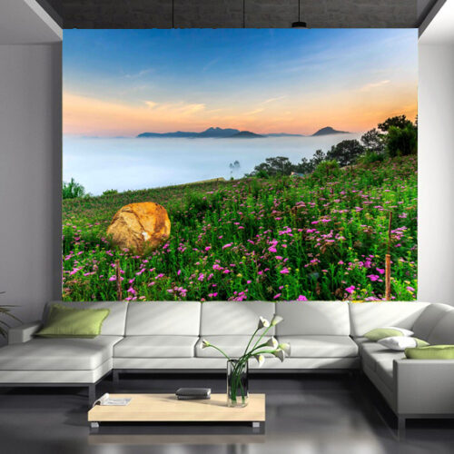 binh-minh-da-lat-5D240-4