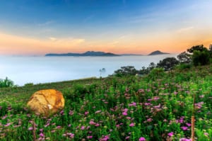 200++ mẫu tranh dán tường phong cảnh đẹp nhất 2018 1 binh-minh-da-lat-5D240-5