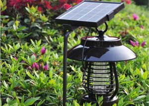 cac loai den trang tri nang luong mat troi pho bien