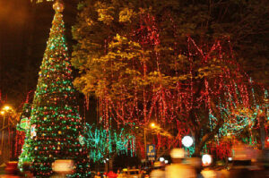 huong dan chi tiet cach noi day dien den led trang tri cay 1