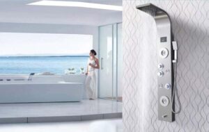 sen-tam-nhiet-do-on-dinh-la-gi