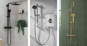 sen-cay-sen-tam-thuong-sen-am-tuong-khac-gi-nhau